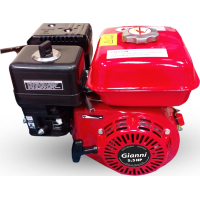 Motor A Nafta 4 Tiempos 5.5 HP Ballena GI-5.5