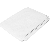 Lona Toldo Polietileno 6 x 12 mt Blanco Pretul LP-612B