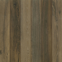 Porcelanato Piso Exterior 60x60cm Evora Deck Eliane