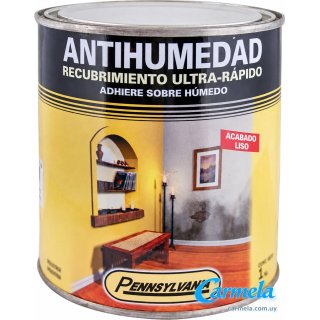 Pintura Antihumedad Pennsylvania 1lt